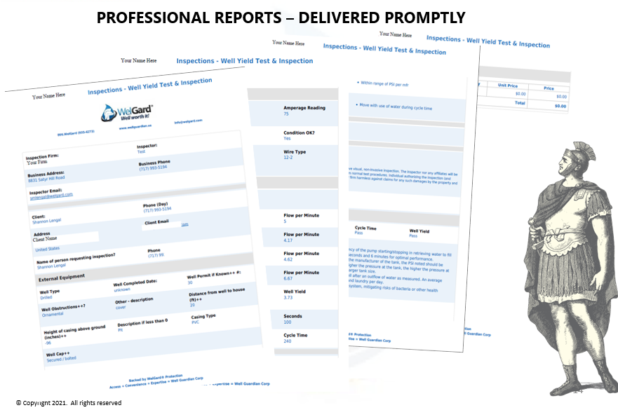 Well Inspection Report Sample Well Inspection Report sample